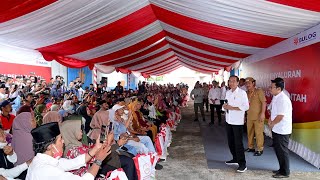 Presiden Jokowi Tinjau Komplek Pergudangan Bulog Kalangkangan Tolitoli 27 Maret 2024 [upl. by Nevah518]