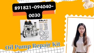 8918210940400030 Oil Pump Repair Kit HP0 Series  China Made New [upl. by Malynda]