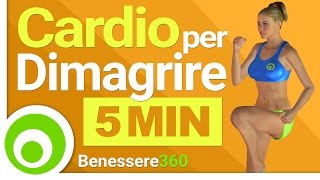 Allenamento Cardio di 5 Minuti per Bruciare Grasso e Dimagrire la Pancia [upl. by Rycca]