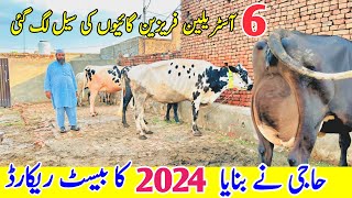 Haji Cha Giya  Top Class Cow For Sale in Pakistan  Australia Friesian Cows  Pk Janwar Mandi [upl. by Atteynek]