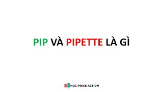 Bài 3 Pip và Pipette Trong Forex là gì [upl. by Holey]