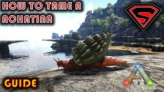 ARK HOW TO TAME A ACHATINA 2020  EVERYTHING YOU NEED TO KNOW ABOUT TAMING A ACHATINA IN ARK [upl. by Coyle209]