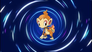 Chimchar Evolution Line [upl. by Annissa570]