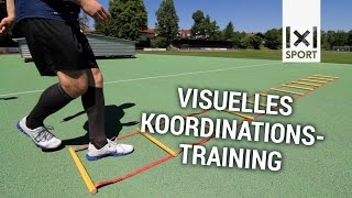 Visuelles Koordinationstraining  Dynamic Body Control TRAILER [upl. by Affrica]