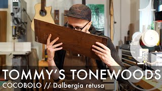 What is COCOBOLO wood  Dalbergia retusa  Tommys Tonewoods [upl. by Audsley]