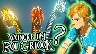 VAINCRE un Roi Griock FACILEMENT Tutorial [upl. by Niai43]