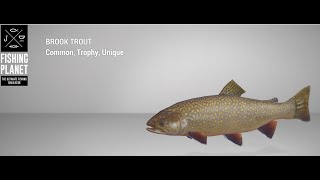 Fishing Planet White Moose Lake  Trophy  Brook Trout  Spin [upl. by Grearson]