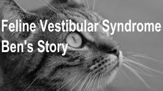 Feline Vestibular Syndrome  Bens Story [upl. by Burrell812]