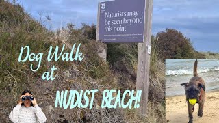 finding tiktoks hidden beaches ending up at a naturist beach 🏖 🤷‍♀️ hiddengems beach dog [upl. by Walkling36]