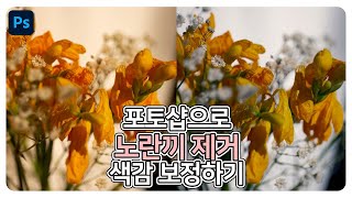 포토샵으로 오줌필터 노란끼 제거 색감 보정하기 [upl. by Airoled]