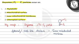 Oxysomes of F0 F1 particles occur on [upl. by Aivekal160]