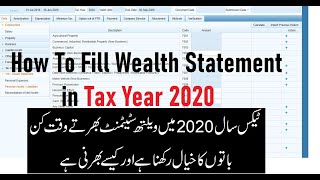 How to fill Wealth Statement  Correct Way to Fill Wealth Statement  Information of Declaration 116 [upl. by Ardath]