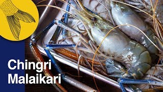 Chingri Malaikari Recipe—Bengali Prawn Malai Curry—Bengali Prawn Curry—Noboborsho Special [upl. by Scandura]