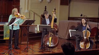 Haydn Divertimento No 15 for viola cello and violone [upl. by Derrick]