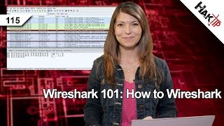 Wireshark 101 How to Wireshark Haktip 115 [upl. by Frey]