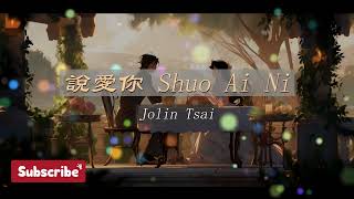 蔡依林 Jolin Tsai Shuo Ai Ni 說愛你 KTV No Vocal [upl. by Teiluj]