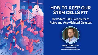 How Stem Cells Contribute to Aging and AgeRelated Diseases with Rob Signer [upl. by Rapsag208]