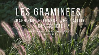 Les Graminées élégance et graphisme au jardin [upl. by Dafna]