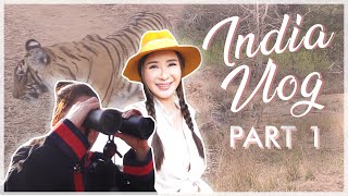 MY FIRST TIME IN INDIA WE VISITED THE SAFARI PART 1  JAMIE CHUA [upl. by Atteirneh]