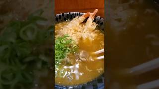 深夜に佐賀のめっちゃ旨いカレーうどん【うどん そば 今泉】『佐賀県佐賀市 佐賀駅付近』 [upl. by Sang]