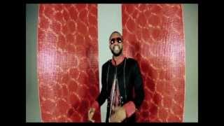 Fally Ipupa  Arsenal de Belles Mélodies Clip Officiel [upl. by Annovoj]