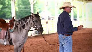 Bells Run Farm  ABCs of Riding Clinic  Morganton North Carolina [upl. by Rosinski]