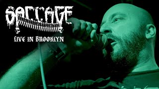 SACCAGE  Live in Brooklyn The Meadows 111723  FULL SET [upl. by Lleira]