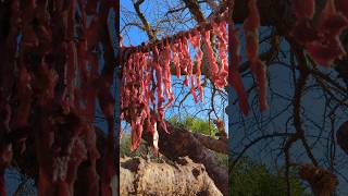 Drying Meat at Hadzabe village meal africantribe africa [upl. by Hadsall]