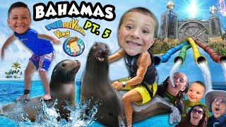 Playing with SEA LIONS  POWER TOWER WATER SLIDES FUNnel Family LEAVES Bahamas ◕︵◕ Trip Part [upl. by Yetnom]