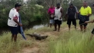 Raw Crocodile Attacks Woman Near Creek Bank [upl. by Nyrrad849]