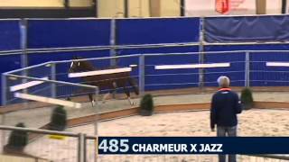 Generaal by Charmeur x Jazz x Contango [upl. by Inilam]