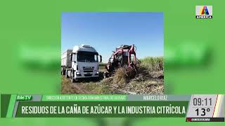 Bioenergía a partir de residuos de la caña de azúcar y de la industria citrícola con Marcelo Ruiz [upl. by Babb160]