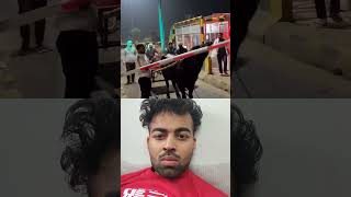 Toll naka 😂 automobile jhotalover punjabi jhottarace vlog cow love [upl. by Hareehat]