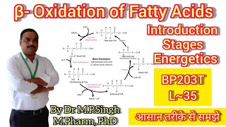 Beta Oxidation of Fatty Acids  Lipid Metabolism  Energetics  Biochemistry  BP203T  L35 [upl. by Thacker]