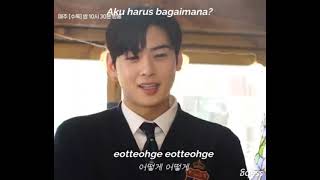 Ottoke Song Cha Eun Woo lirik lndo [upl. by Cloots]