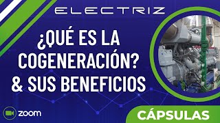 la Cogeneración y sus beneficios [upl. by Einaj]