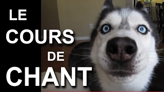 LE COURS DE CHANT  PAROLE DE CHIEN ft Clara Doxal [upl. by Armington]