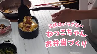 お弁当一週間分冷めても美味しいおかずを簡単に早く料理する作り置きレシピおかずの作り方 [upl. by Carlie]