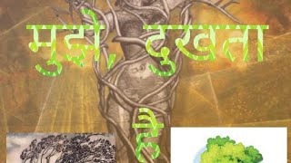 ना काटो मुझे दुखता है  Na Kato Mujhe Dukhata hai Hindi lyrics song savenature motivationalsongs [upl. by Bing]