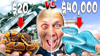 SERPIENTE de 20 vs SERPIENTE de 40000 [upl. by Iden]