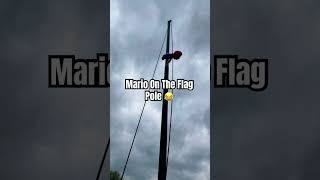 Mario On The Flag Pole 😂 shorts [upl. by Walcoff]