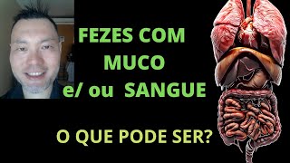 FEZES COM MUCO E OU SANGUE O QUE PODE SER [upl. by Leakim]