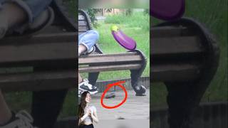 Eggplant drop prank 🤪 laugher comedy viralvideo [upl. by Namlas]