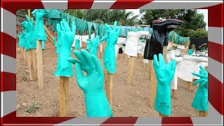 Las 10 cosas del Virus Ebola que debes saber ¿Qué Es [upl. by Ardnaek903]