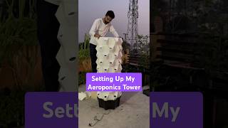 छत पर बिना मिट्टी पौधे उगाओ Unboxing amp Setting Up a PineappleShaped Aeroponics Tower [upl. by Lovell494]