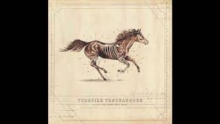 Turnpike Troubadours  Unrung  A Long Way From Your Heart [upl. by Nerro809]