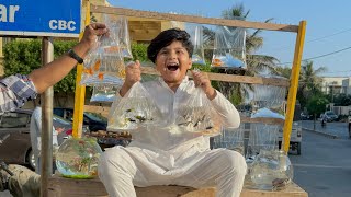 Ali ko itni sari new Fish 🐠 Dilwa Di 😱  First time sharq Fish 🐟 Dekhi 😳 [upl. by Regan346]