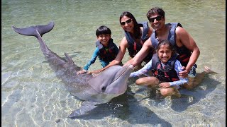 Big Island Hawaii  Hilton Waikoloa Village Dolphin Encounter [upl. by Immak344]