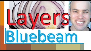 Bluebeam  All about layers [upl. by Rosemare]