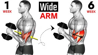 Full Arms Exercises with Dumbbells  Biceps and Triceps  🦾🦾 [upl. by Vander945]